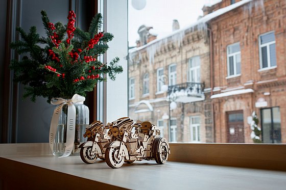 ���� ��� ���� ���� ��� EWA Eco-Wood-Art Trike
