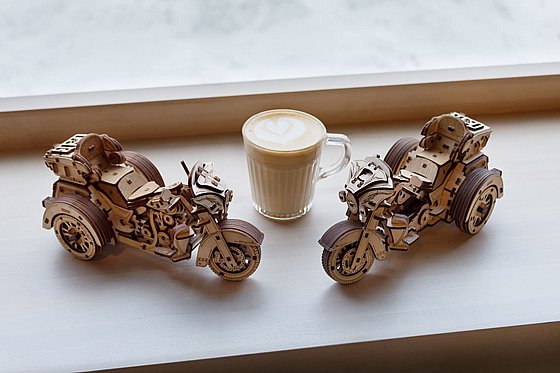 ���� ��� ���� ���� ��� EWA Eco-Wood-Art Trike
