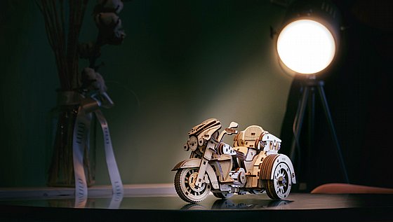 ���� ��� ���� ���� ��� EWA Eco-Wood-Art Trike