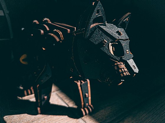 ���� ��� ���� ���� ��� EWA Eco-Wood-Art Black Cat