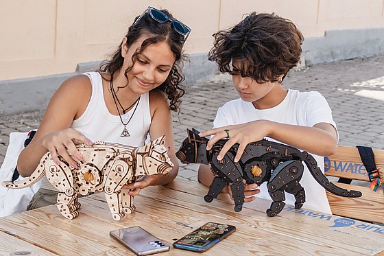 ���� ��� ���� ���� ��� EWA Eco-Wood-Art Black Cat