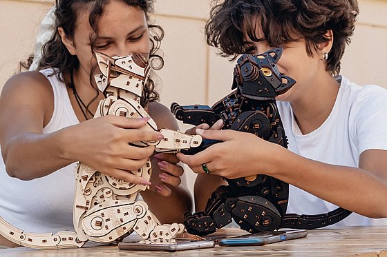 ���� ��� ���� ���� ��� EWA Eco-Wood-Art Black Cat