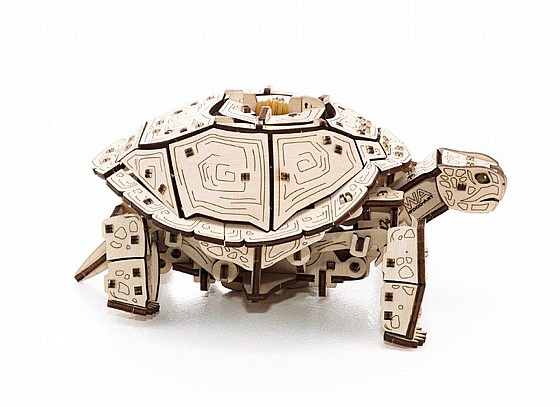 ���� EWA Eco-Wood-Art ��� ���� ���� ��� Turtle