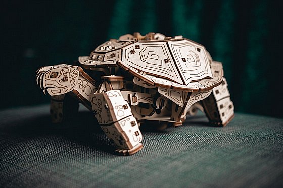 ���� ��� ���� ���� ��� EWA Eco-Wood-Art Turtle