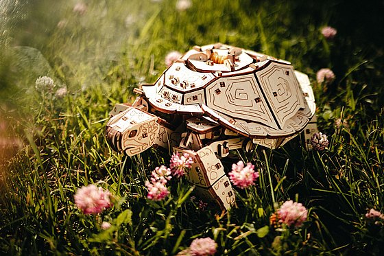 ���� ��� ���� ���� ��� EWA Eco-Wood-Art Turtle