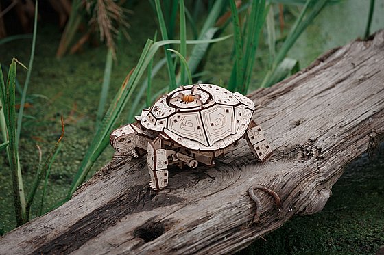 ���� ��� ���� ���� ��� EWA Eco-Wood-Art Turtle