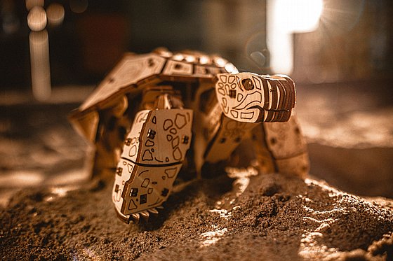 ���� ��� ���� ���� ��� EWA Eco-Wood-Art Turtle