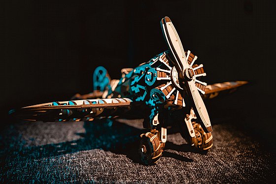 ���� ��� ����� ���� ��� EWA Eco-Wood-Art Airplane