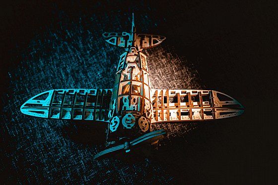 ���� ��� ����� ���� ��� EWA Eco-Wood-Art Airplane
