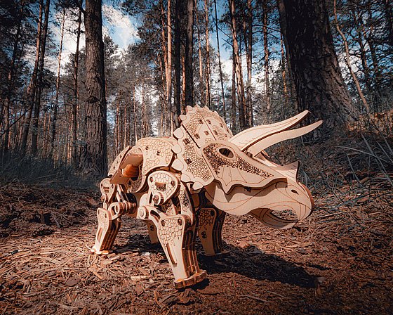 ���� ��� ����� ���� ��� EWA Eco-Wood-Art TRICERATOPS