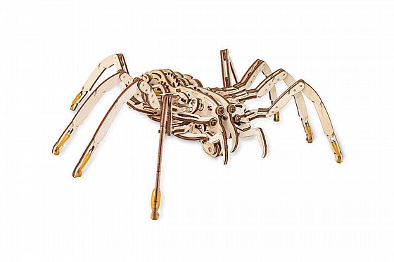 ���� ��� ����� ���� ��� EWA Eco-Wood-Art SPIDER