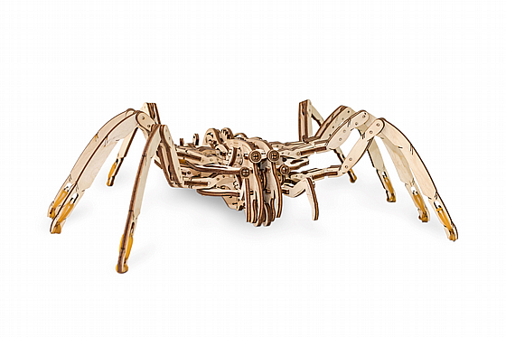 ���� ��� ����� ���� ��� EWA Eco-Wood-Art SPIDER