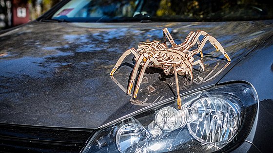 ���� ��� ����� ���� ��� ����� EWA Eco-Wood-Art SPIDER