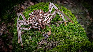 פאזל תלת מימדי מכני מעץ עכביש EWA Eco-Wood-Art SPIDER פאזל תלת מימדי מכני מעץ עכביש EWA Eco-Wood-Art SPIDER