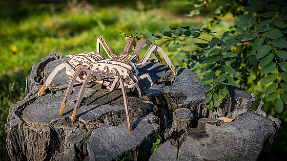 ���� ��� ����� ���� ��� ����� EWA Eco-Wood-Art SPIDER