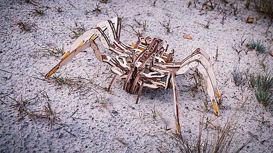 ���� ��� ����� ���� ��� ����� EWA Eco-Wood-Art SPIDER