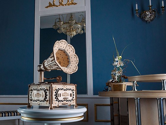 ���� ��� ����� ���� ��� EWA Eco-Wood-Art GRAMOPHONE