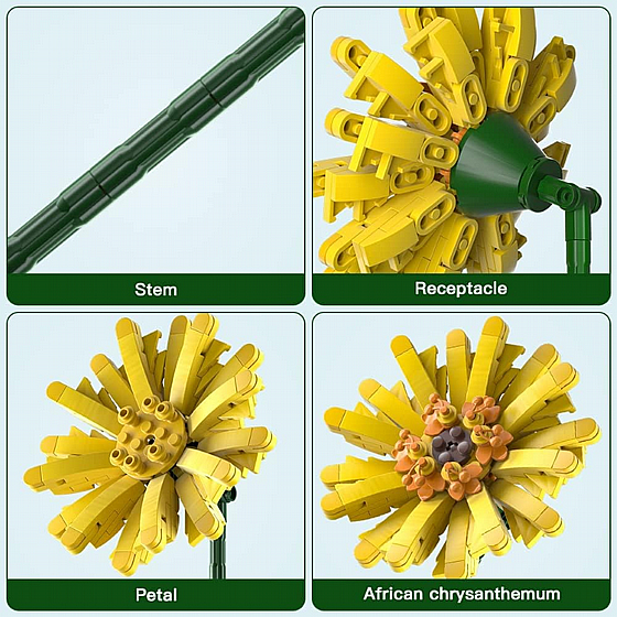 ��� ����� Jbricks 150703 Barberton Daisy Flower