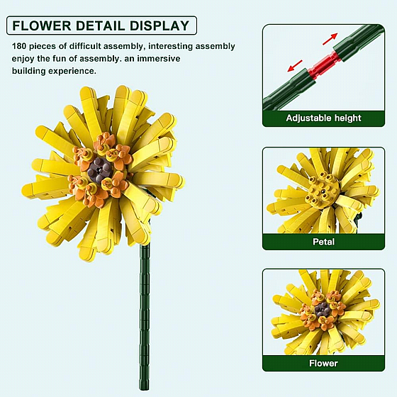 ��� ����� Jbricks 150703 Barberton Daisy Flower