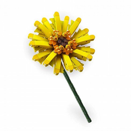 ��� ����� Jbricks 150703 Barberton Daisy Flower