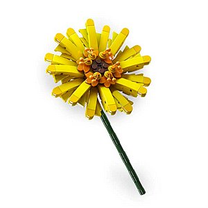 דגם הרכבה Jbricks 150703 Barberton Daisy Flower דגם הרכבה Jbricks 150703 Barberton Daisy Flower