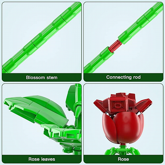 ��� ����� JBricks 150705 Rose Plant