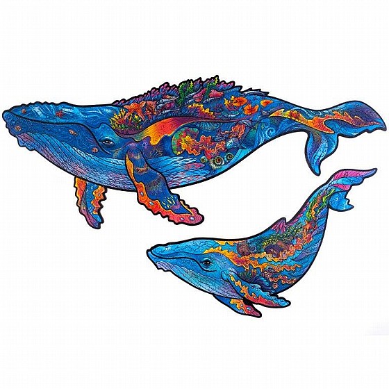 ���� �� Unidragon ������ ������� Milky Whales size King