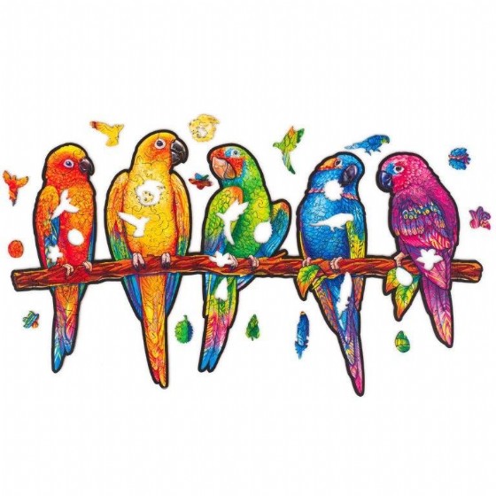 ���� �� Unidragon ������ ������� Playful Parrots size M