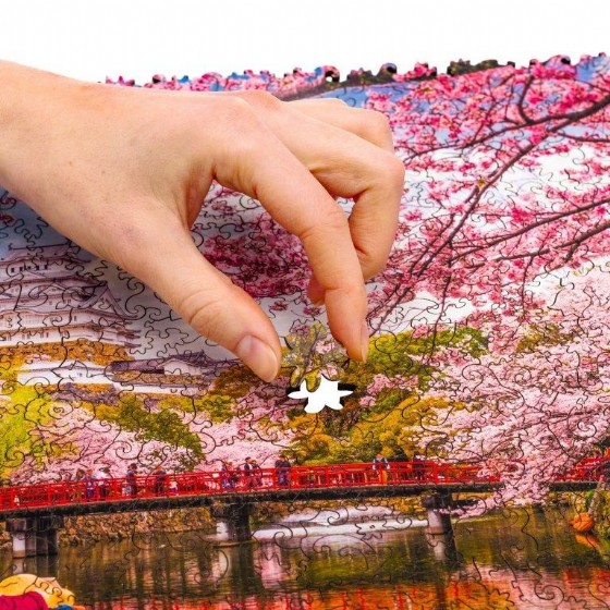 ���� �� Unidragon ������ ������� Nature Sakura size King
