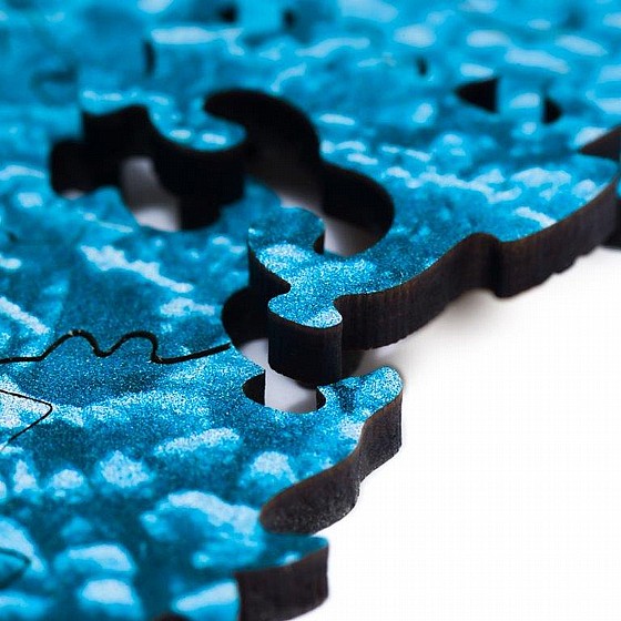 ���� �� Woosaic ������ ������� Shimmering Turtle 1000 pcs